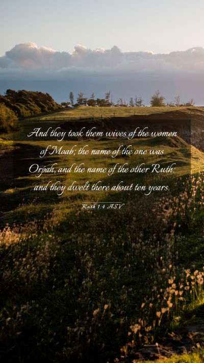 Picture 03 - Ruth 1:4 ASV Mobile Phone Wallpaper - And they took them wives of the women of Moab; - Mobile Bible Verse Wallpaper