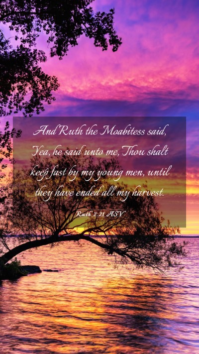 Picture 03 - Ruth 2:21 ASV Mobile Phone Wallpaper - And Ruth the Moabitess said, Yea, he said unto - Mobile Bible Verse Wallpaper