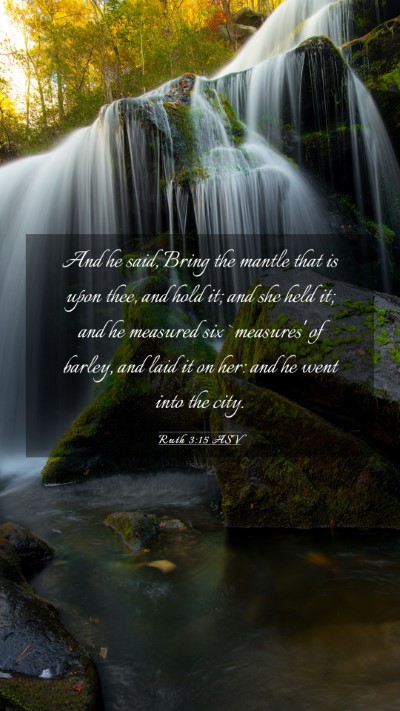 Picture 03 - Ruth 3:15 ASV Mobile Phone Wallpaper - And he said, Bring the mantle that is upon thee, - Mobile Bible Verse Wallpaper