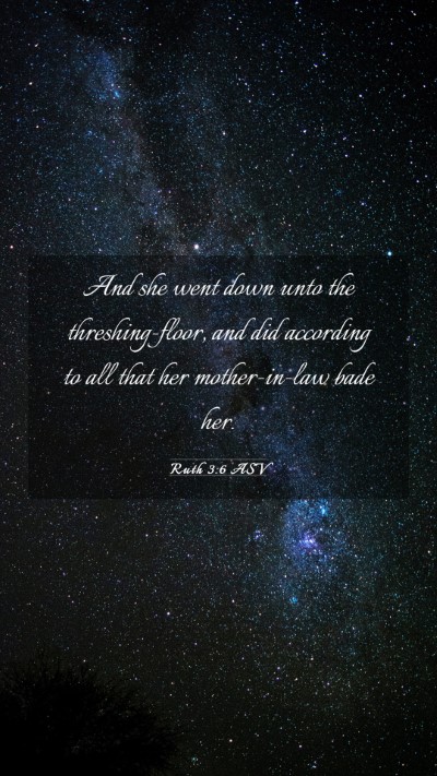 Picture 03 - Ruth 3:6 ASV Mobile Phone Wallpaper - And she went down unto the threshing-floor, and - Mobile Bible Verse Wallpaper