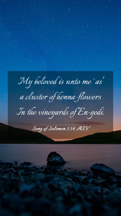 Picture 03 - Song of Solomon 1:14 ASV Mobile Phone Wallpaper - My beloved is unto me `as' a cluster of - Mobile Bible Verse Wallpaper