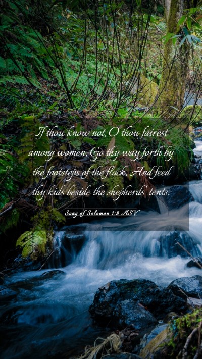 Picture 03 - Song of Solomon 1:8 ASV Mobile Phone Wallpaper - If thou know not, O thou fairest among women, Go - Mobile Bible Verse Wallpaper