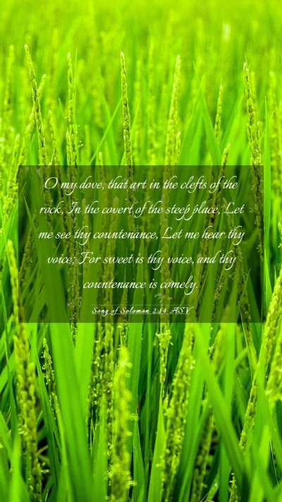 Picture 03 - Song of Solomon 2:14 ASV Mobile Phone Wallpaper - O my dove, that art in the clefts of the rock, In - Mobile Bible Verse Wallpaper