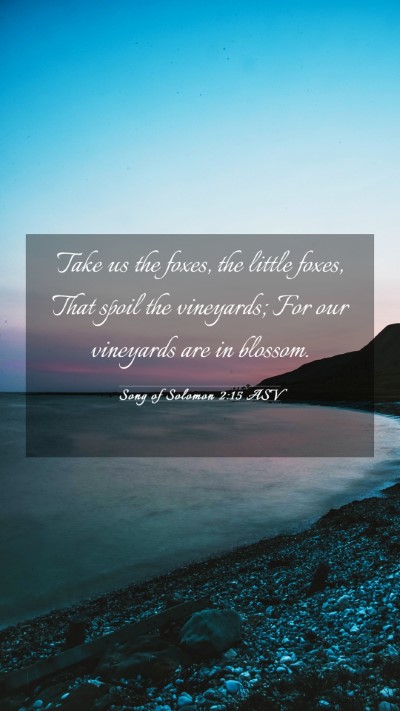 Picture 03 - Song of Solomon 2:15 ASV Mobile Phone Wallpaper - Take us the foxes, the little foxes, That spoil - Mobile Bible Verse Wallpaper