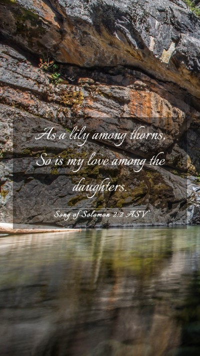 Picture 03 - Song of Solomon 2:2 ASV Mobile Phone Wallpaper - As a lily among thorns, So is my love among the - Mobile Bible Verse Wallpaper