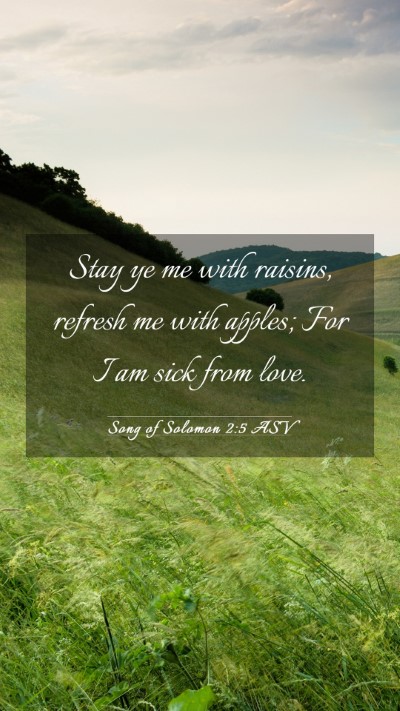 Picture 03 - Song of Solomon 2:5 ASV Mobile Phone Wallpaper - Stay ye me with raisins, refresh me with apples; - Mobile Bible Verse Wallpaper