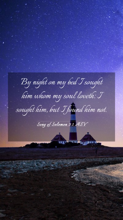 Picture 03 - Song of Solomon 3:1 ASV Mobile Phone Wallpaper - By night on my bed I sought him whom my soul - Mobile Bible Verse Wallpaper