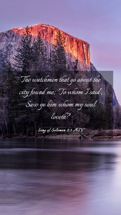 Picture 03 - Song of Solomon 3:3 ASV Mobile Phone Wallpaper - The watchmen that go about the city found me; `To - Mobile Bible Verse Wallpaper