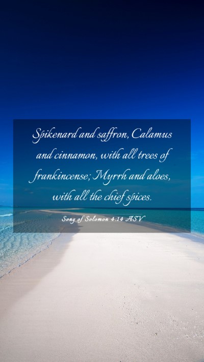 Picture 03 - Song of Solomon 4:14 ASV Mobile Phone Wallpaper - Spikenard and saffron, Calamus and cinnamon, with - Mobile Bible Verse Wallpaper