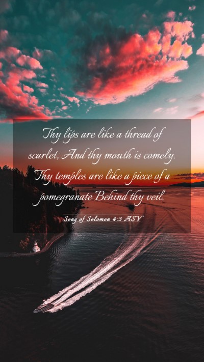 Picture 03 - Song of Solomon 4:3 ASV Mobile Phone Wallpaper - Thy lips are like a thread of scarlet, And thy - Mobile Bible Verse Wallpaper