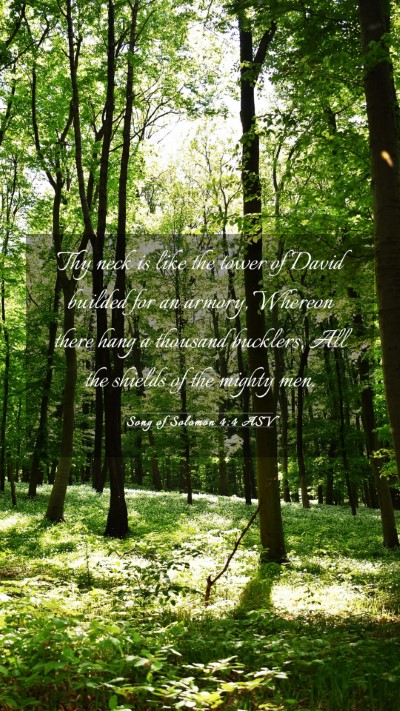 Picture 03 - Song of Solomon 4:4 ASV Mobile Phone Wallpaper - Thy neck is like the tower of David builded for - Mobile Bible Verse Wallpaper