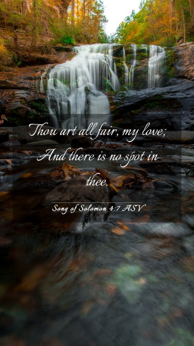 Picture 03 - Song of Solomon 4:7 ASV Mobile Phone Wallpaper - Thou art all fair, my love; And there is no spot - Mobile Bible Verse Wallpaper
