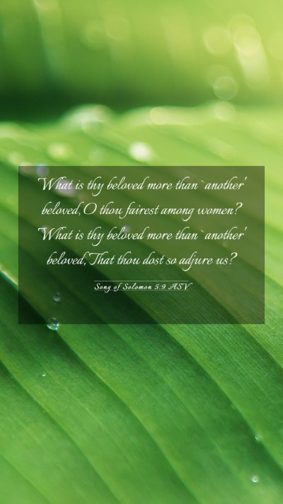Picture 03 - Song of Solomon 5:9 ASV Mobile Phone Wallpaper - What is thy beloved more than `another' beloved, - Mobile Bible Verse Wallpaper