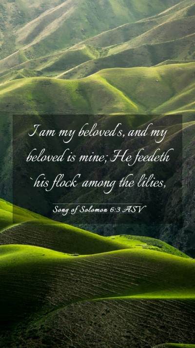 Picture 03 - Song of Solomon 6:3 ASV Mobile Phone Wallpaper - I am my beloved's, and my beloved is mine; He - Mobile Bible Verse Wallpaper