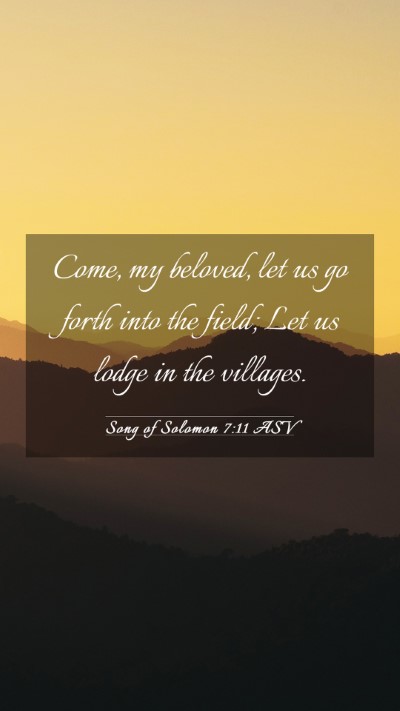 Picture 03 - Song of Solomon 7:11 ASV Mobile Phone Wallpaper - Come, my beloved, let us go forth into the field; - Mobile Bible Verse Wallpaper