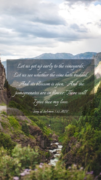 Picture 03 - Song of Solomon 7:12 ASV Mobile Phone Wallpaper - Let us get up early to the vineyards; Let us see - Mobile Bible Verse Wallpaper