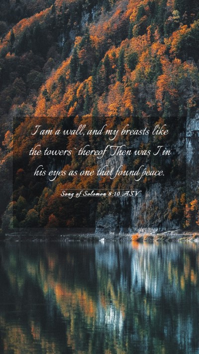Picture 03 - Song of Solomon 8:10 ASV Mobile Phone Wallpaper - I am a wall, and my breasts like the towers - Mobile Bible Verse Wallpaper