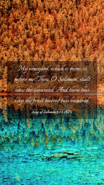 Picture 03 - Song of Solomon 8:12 ASV Mobile Phone Wallpaper - My vineyard, which is mine, is before me: Thou, O - Mobile Bible Verse Wallpaper