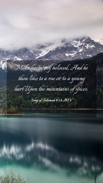 Picture 03 - Song of Solomon 8:14 ASV Mobile Phone Wallpaper - Make haste, my beloved, And be thou like to a roe - Mobile Bible Verse Wallpaper