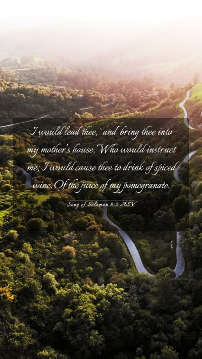 Picture 03 - Song of Solomon 8:2 ASV Mobile Phone Wallpaper - I would lead thee, `and' bring thee into my - Mobile Bible Verse Wallpaper
