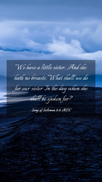 Picture 03 - Song of Solomon 8:8 ASV Mobile Phone Wallpaper - We have a little sister, And she hath no breasts: - Mobile Bible Verse Wallpaper