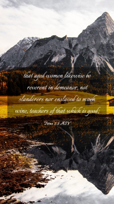 Picture 03 - Titus 2:3 ASV Mobile Phone Wallpaper - that aged women likewise be reverent in demeanor, - Mobile Bible Verse Wallpaper