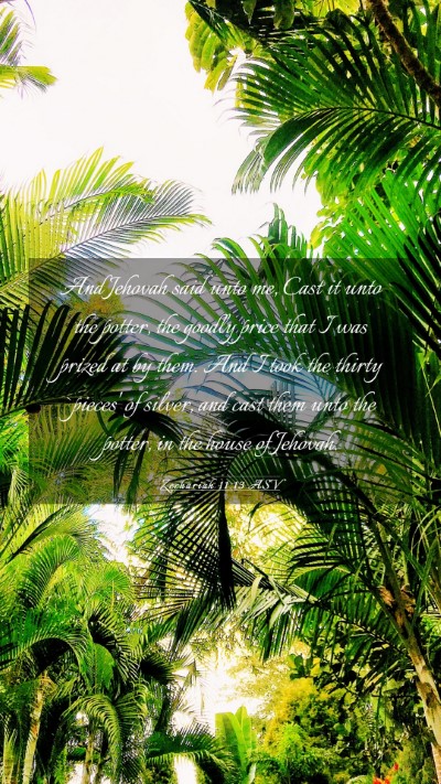 Picture 03 - Zechariah 11:13 ASV Mobile Phone Wallpaper - And Jehovah said unto me, Cast it unto the - Mobile Bible Verse Wallpaper
