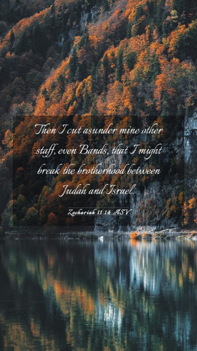 Picture 03 - Zechariah 11:14 ASV Mobile Phone Wallpaper - Then I cut asunder mine other staff, even Bands, - Mobile Bible Verse Wallpaper