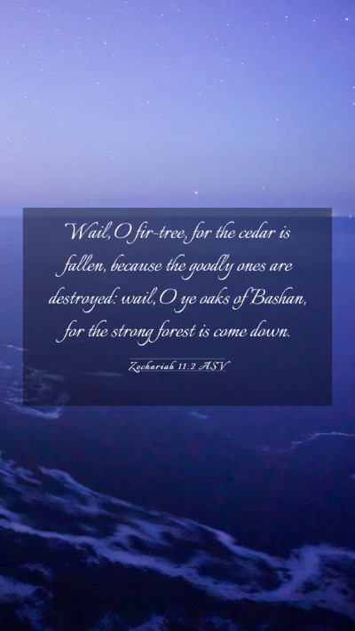 Picture 03 - Zechariah 11:2 ASV Mobile Phone Wallpaper - Wail, O fir-tree, for the cedar is fallen, - Mobile Bible Verse Wallpaper