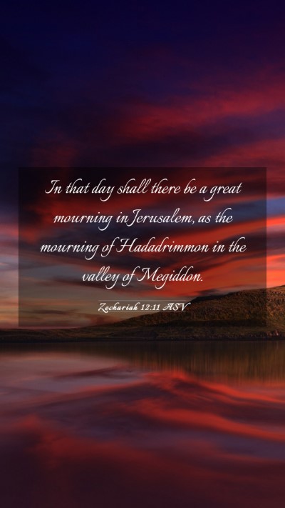 Picture 03 - Zechariah 12:11 ASV Mobile Phone Wallpaper - In that day shall there be a great mourning in - Mobile Bible Verse Wallpaper