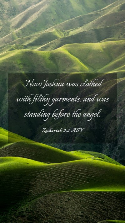 Picture 03 - Zechariah 3:3 ASV Mobile Phone Wallpaper - Now Joshua was clothed with filthy garments, and - Mobile Bible Verse Wallpaper