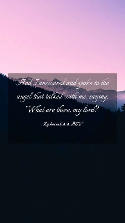 Picture 03 - Zechariah 4:4 ASV Mobile Phone Wallpaper - And I answered and spake to the angel that talked - Mobile Bible Verse Wallpaper