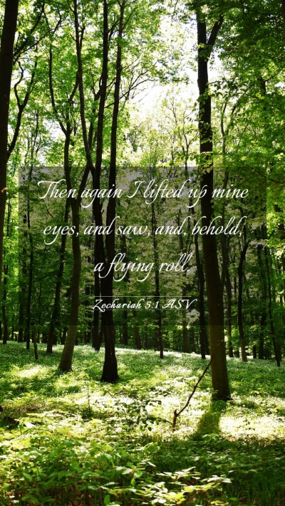 Picture 03 - Zechariah 5:1 ASV Mobile Phone Wallpaper - Then again I lifted up mine eyes, and saw, and, - Mobile Bible Verse Wallpaper