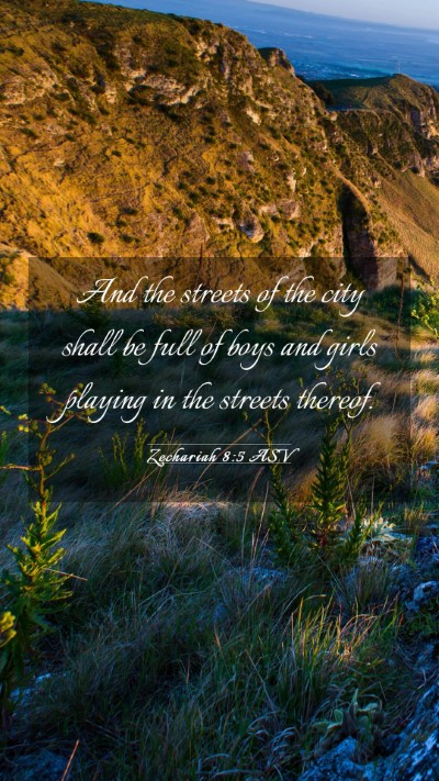 Picture 03 - Zechariah 8:5 ASV Mobile Phone Wallpaper - And the streets of the city shall be full of boys - Mobile Bible Verse Wallpaper