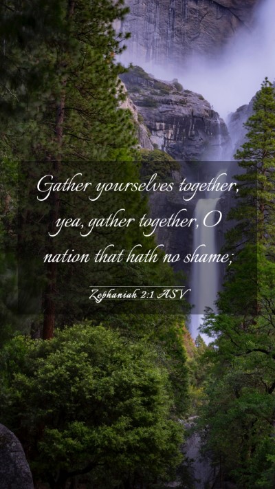 Picture 03 - Zephaniah 2:1 ASV Mobile Phone Wallpaper - Gather yourselves together, yea, gather together, - Mobile Bible Verse Wallpaper