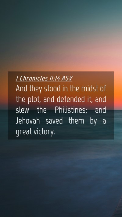 Picture 04 - 1 Chronicles 11:14 ASV Mobile Phone Wallpaper - And they stood in the midst of the plot, and - Mobile Bible Verse Wallpaper