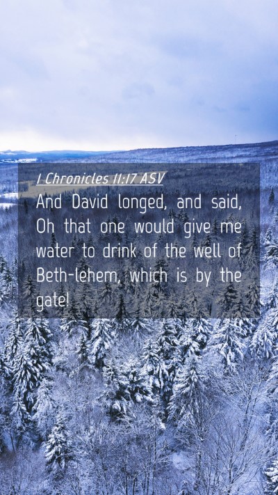Picture 04 - 1 Chronicles 11:17 ASV Mobile Phone Wallpaper - And David longed, and said, Oh that one would - Mobile Bible Verse Wallpaper