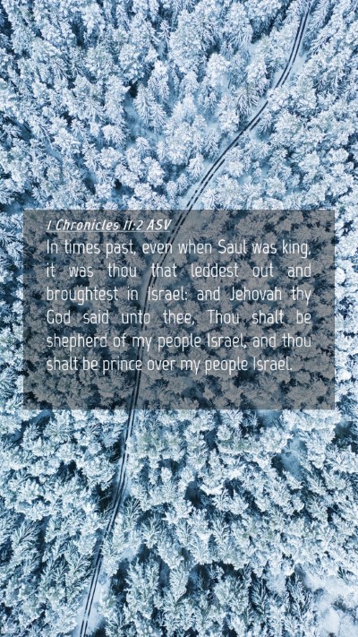 Picture 04 - 1 Chronicles 11:2 ASV Mobile Phone Wallpaper - In times past, even when Saul was king, it was - Mobile Bible Verse Wallpaper