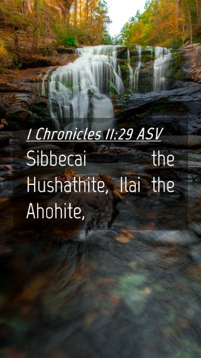 Picture 04 - 1 Chronicles 11:29 ASV Mobile Phone Wallpaper - Sibbecai the Hushathite, Ilai the - Mobile Bible Verse Wallpaper