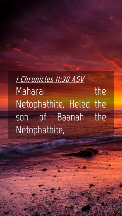 Picture 04 - 1 Chronicles 11:30 ASV Mobile Phone Wallpaper - Maharai the Netophathite, Heled the son of Baanah - Mobile Bible Verse Wallpaper