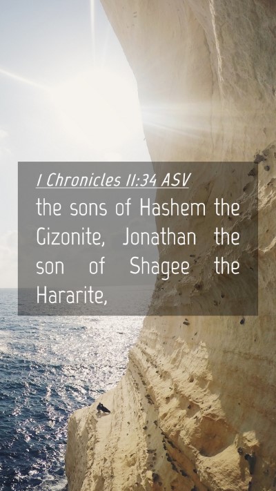 Picture 04 - 1 Chronicles 11:34 ASV Mobile Phone Wallpaper - the sons of Hashem the Gizonite, Jonathan the son - Mobile Bible Verse Wallpaper
