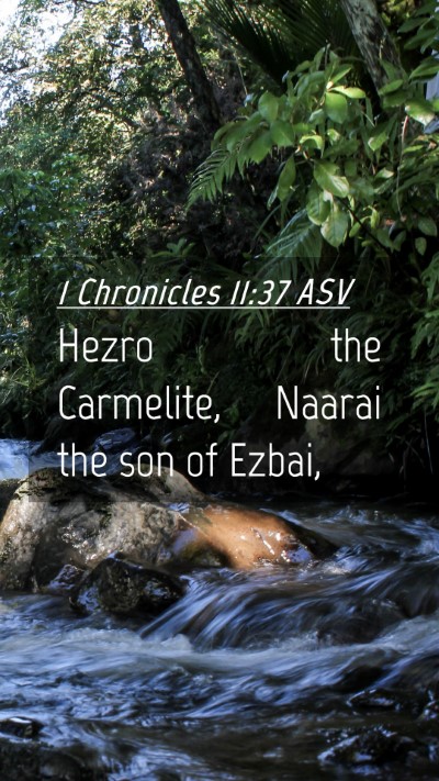 Picture 04 - 1 Chronicles 11:37 ASV Mobile Phone Wallpaper - Hezro the Carmelite, Naarai the son of - Mobile Bible Verse Wallpaper