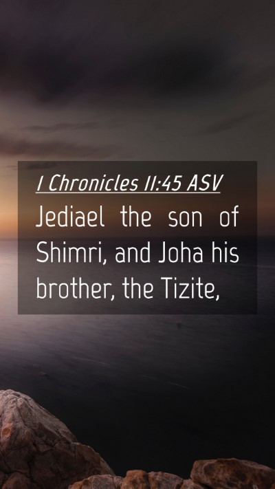 Picture 04 - 1 Chronicles 11:45 ASV Mobile Phone Wallpaper - Jediael the son of Shimri, and Joha his brother, - Mobile Bible Verse Wallpaper