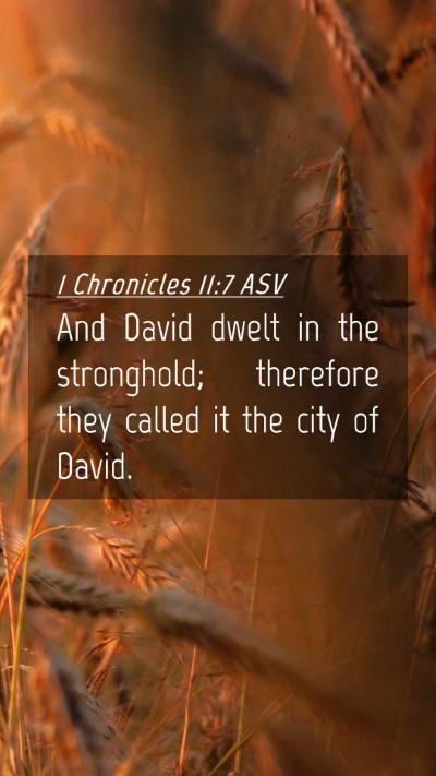 Picture 04 - 1 Chronicles 11:7 ASV Mobile Phone Wallpaper - And David dwelt in the stronghold; therefore they - Mobile Bible Verse Wallpaper
