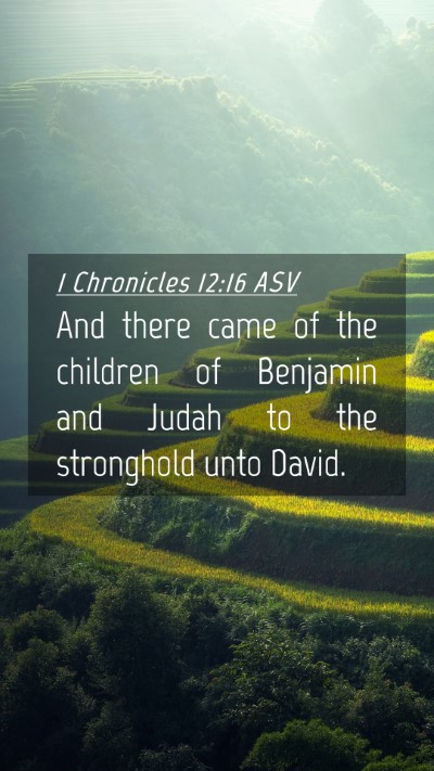 Picture 04 - 1 Chronicles 12:16 ASV Mobile Phone Wallpaper - And there came of the children of Benjamin and - Mobile Bible Verse Wallpaper