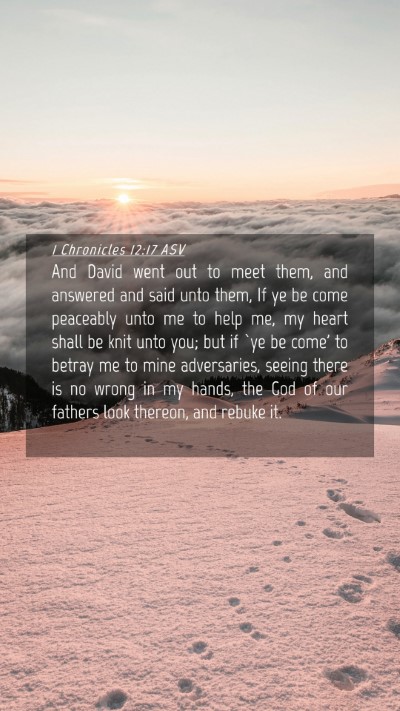 Picture 04 - 1 Chronicles 12:17 ASV Mobile Phone Wallpaper - And David went out to meet them, and answered and - Mobile Bible Verse Wallpaper