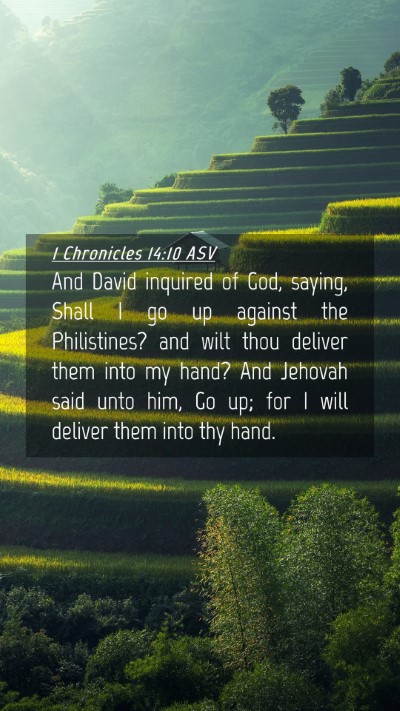Picture 04 - 1 Chronicles 14:10 ASV Mobile Phone Wallpaper - And David inquired of God, saying, Shall I go up - Mobile Bible Verse Wallpaper