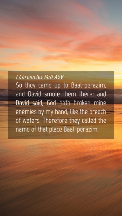 Picture 04 - 1 Chronicles 14:11 ASV Mobile Phone Wallpaper - So they came up to Baal-perazim, and David smote - Mobile Bible Verse Wallpaper