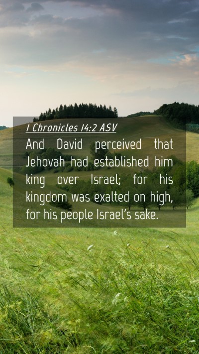 Picture 04 - 1 Chronicles 14:2 ASV Mobile Phone Wallpaper - And David perceived that Jehovah had established - Mobile Bible Verse Wallpaper