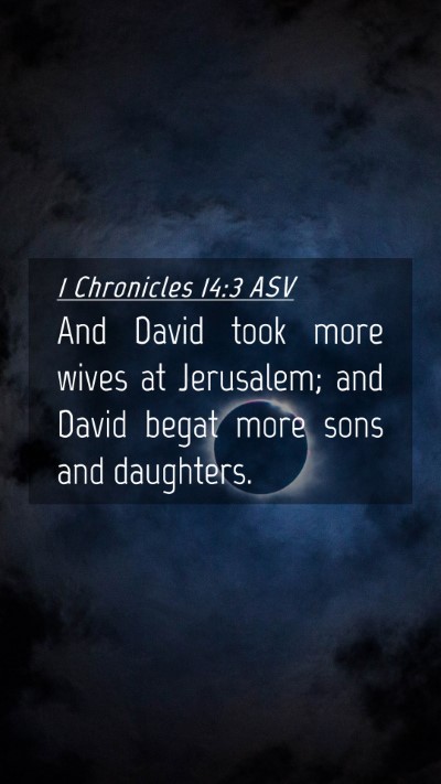 Picture 04 - 1 Chronicles 14:3 ASV Mobile Phone Wallpaper - And David took more wives at Jerusalem; and David - Mobile Bible Verse Wallpaper